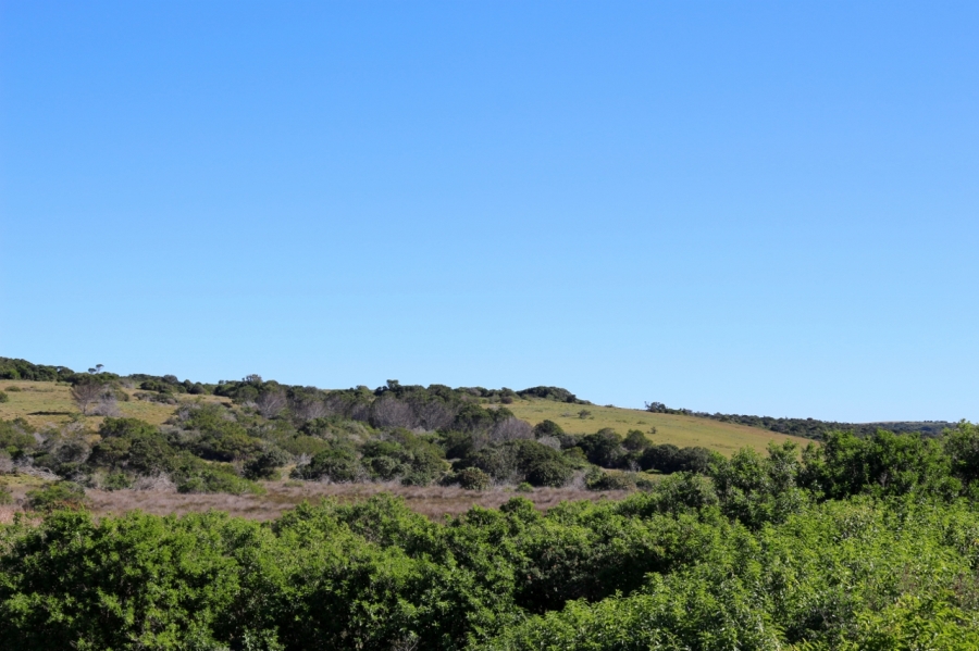 0 Bedroom Property for Sale in Forest Downs Eastern Cape